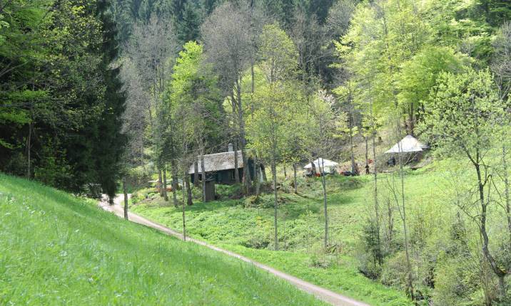 Königenhütte, Wiese im Tal